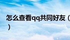 怎么查看qq共同好友（怎么查看qq共同好友）