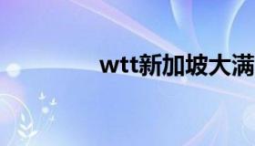 wtt新加坡大满贯赛（wt）