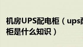 机房UPS配电柜（ups配电柜是什么 ups配电柜是什么知识）