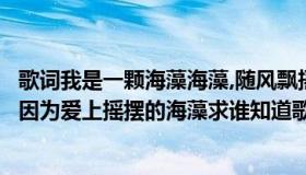 歌词我是一颗海藻海藻,随风飘摇（有一首歌里面有一句词是因为爱上摇摆的海藻求谁知道歌名）