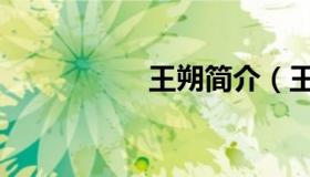 王朔简介（王朔简介）