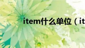 item什么单位（item什么意思）