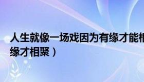 人生就像一场戏因为有缘才能相聚（人生就像一场戏因为有缘才相聚）