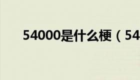 54000是什么梗（54000是什么意思）