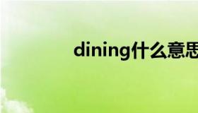 dining什么意思（dining）