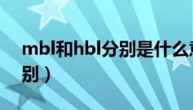 mbl和hbl分别是什么意思（mbl和hbl的区别）