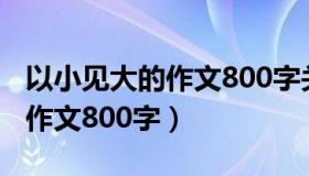 以小见大的作文800字关于时钟（以小见大的作文800字）