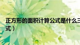 正方形的面积计算公式是什么三年级（正方形的面积计算公式）