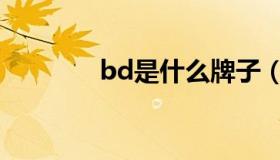 bd是什么牌子（bd是什么）