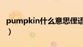 pumpkin什么意思俚语（pumpkin什么意思）