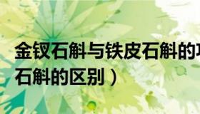 金钗石斛与铁皮石斛的功效（金钗石斛与铁皮石斛的区别）