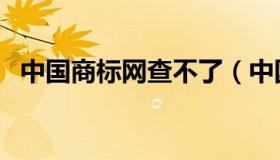 中国商标网查不了（中国商标网查询系统）