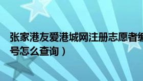 张家港友爱港城网注册志愿者编号（友爱港城网的志愿者证号怎么查询）