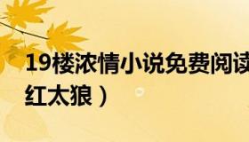 19楼浓情小说免费阅读下载（19楼浓情小说红太狼）