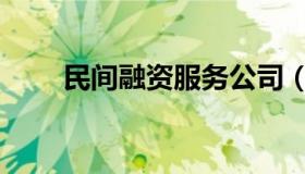 民间融资服务公司（民间融资包括）