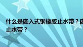 什么是嵌入式钢橡胶止水带？嵌入式钢橡胶止水带和中孔钢止水带？