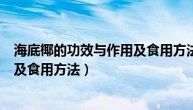 海底椰的功效与作用及食用方法禁忌（海底椰的功效与作用及食用方法）