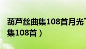 葫芦丝曲集108首月光下的凤尾竹（葫芦丝曲集108首）