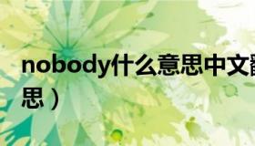 nobody什么意思中文翻译（nobody什么意思）