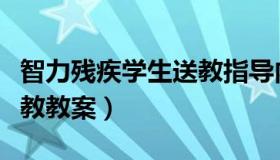 智力残疾学生送教指导内容（智力残疾学生送教教案）