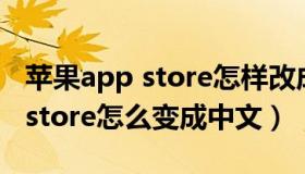 苹果app store怎样改成中文（iphone app store怎么变成中文）