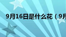 9月16日是什么花（9月16日是什么星座）