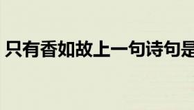 只有香如故上一句诗句是什么（只有香如故）