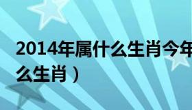 2014年属什么生肖今年多少岁（2014年属什么生肖）