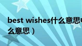 best wishes什么意思中文（best wishes什么意思）