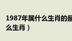 1987年属什么生肖的最佳配偶（1987年属什么生肖）