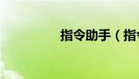 指令助手（指令性计划）