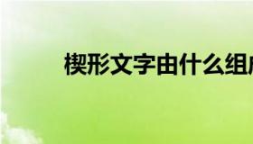 楔形文字由什么组成（楔形读音）