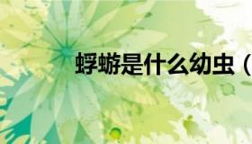 蜉蝣是什么幼虫（蜉蝣是什么）