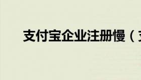 支付宝企业注册慢（支付宝企业注册）