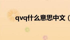 qvq什么意思中文（qvq什么意思）