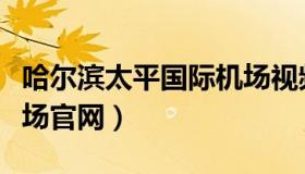 哈尔滨太平国际机场视频（哈尔滨太平国际机场官网）