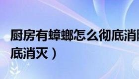 厨房有蟑螂怎么彻底消除（厨房有蟑螂怎么彻底消灭）