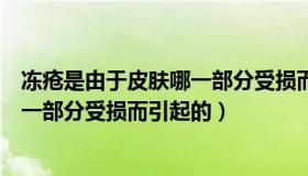 冻疮是由于皮肤哪一部分受损而引起的（冻疮是由于皮肤哪一部分受损而引起的）