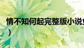 情不知何起完整版小说免费阅读（情不知何起）