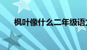 枫叶像什么二年级语文（枫叶像什么）