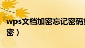 wps文档加密忘记密码如何解开（wps文档加密）