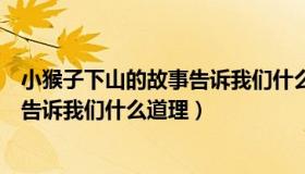 小猴子下山的故事告诉我们什么歇后语（小猴子下山的故事告诉我们什么道理）