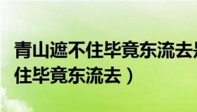 青山遮不住毕竟东流去是什么寓意（青山遮不住毕竟东流去）