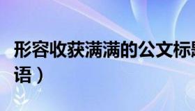 形容收获满满的公文标题（形容收获满满的成语）