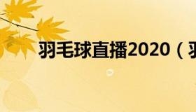 羽毛球直播2020（羽毛球直播360）