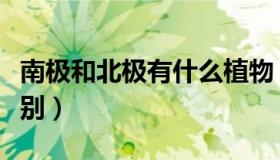 南极和北极有什么植物（南极和北极有什么区别）