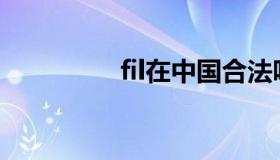 fil在中国合法吗（filza）