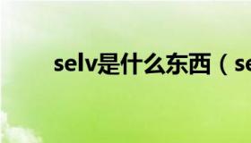 selv是什么东西（selv是什么意思）