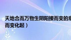 天地合而万物生阴阳接而变的意思（天地合而万物生阴阳接而变化起）