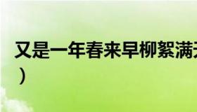 又是一年春来早柳絮满天飘（又是一年春好处）